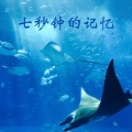 苏珞宁、孟繁星 - 深夜的歌