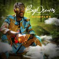 Slim Flex - Big Dreams