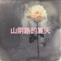 朵子 - 南方姑娘