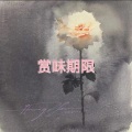 朵子 - 请你给我多一点温柔