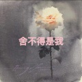舍不得是我