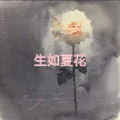 朵子 - 时光笔墨