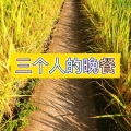 易伊 - 花香