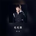 田一龙 - 毛毛草