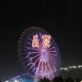 小舒 - 皮囊