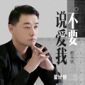 歌无忧 - 不要说爱我