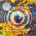 Paradigma (BR)、DOXA (FR) - Psychedelic Kingdom