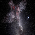 Cygnus - Sin Compromiso