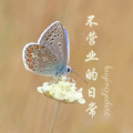 程倩雪、顾玖柠 - 二十多岁
