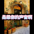 士大 - 陪我遗忘