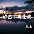 陈恳 - 你已不再爱我