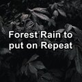 Forest Rain to put on Repeat