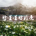 张小磊 - 盼星星盼月亮