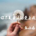 张小磊 - 你不是真正的爱上我