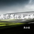 张小磊 - 我不想改变世界