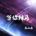 张小磊 - 等你降落