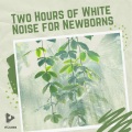 2 Hours of White Noise for Newborns