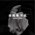 疯晓沫、小小默 - 当温柔不在