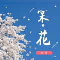 吴琬 - 棠花