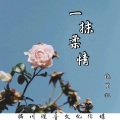 晓星沉 - 一抹柔情