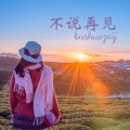 姚婕珍 - 不说再见