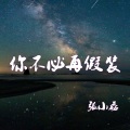 张小磊 - 你不必再假装