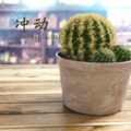 顾玖柠、顾吉 - 黑骑士