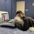 权威 - 我若未娶你若未嫁