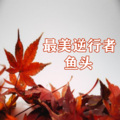 鱼头 - 失恋阵线联盟