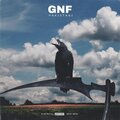 Pakistani - Gnf
