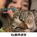 尽在掌握