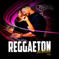 DJ Freddy - Reggaeton Old School Mix