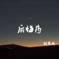 胡傲 - 后悔药