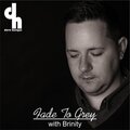 Dave Harrigan、Brinity - Fade to Grey (Ambient Version)(feat. Brinity)