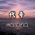 宋温暖、心奴 - 代号004