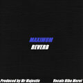 MAXIMUM REVERB