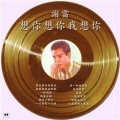 谢雷 - 无限相思无限恨