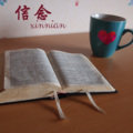 姚婕珍、顾玖柠 - 斗龙战士