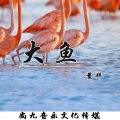 鳌拜 - 大鱼