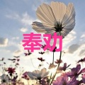刘思瑶 - 芒种