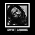 Junior Delgado - Sweet Darling