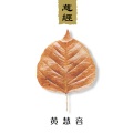 黄慧音 - 慈经