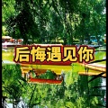 爱惜 - 误红妆