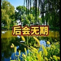 爱惜 - 叹郁孤