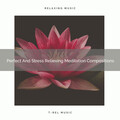 Perfect And Stress Relieving Meditation Compositions