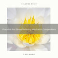 Peaceful And Stress Relieving Meditation Compositions