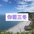 卓儿 - 一路向北