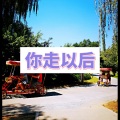 卓儿 - 泡沫