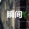 张彤 - 那女孩对我说 (仙境版)