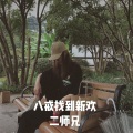 二师兄 - 越南神摇 (DJ版)